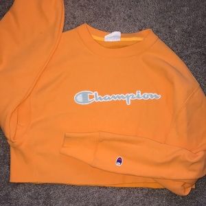 cropped champion sweatshirt